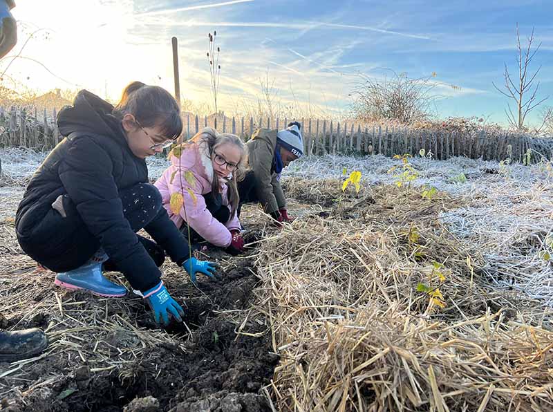 5e session : plantation forêt urbaine