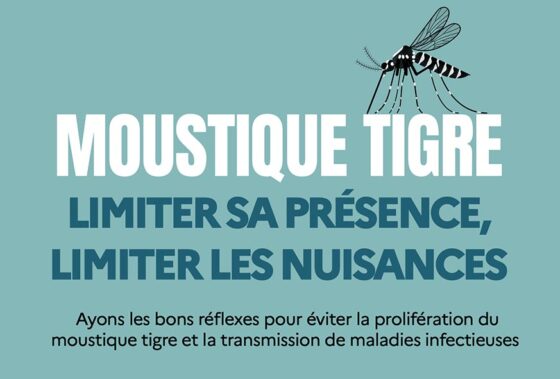 Moustique tigre : agissons dès maintenant pour un été plus tranquille